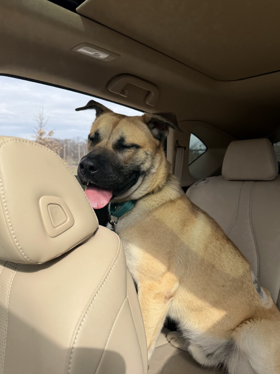 Screenshot 2026-02-27 at 1.54.28 PM.png