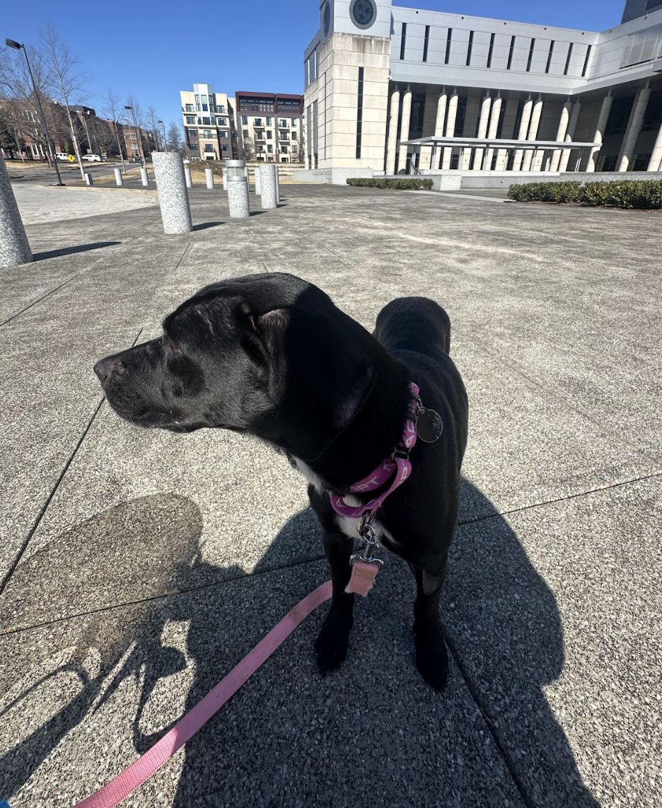 Screenshot 2026-02-16 at 6.20.28 PM.png