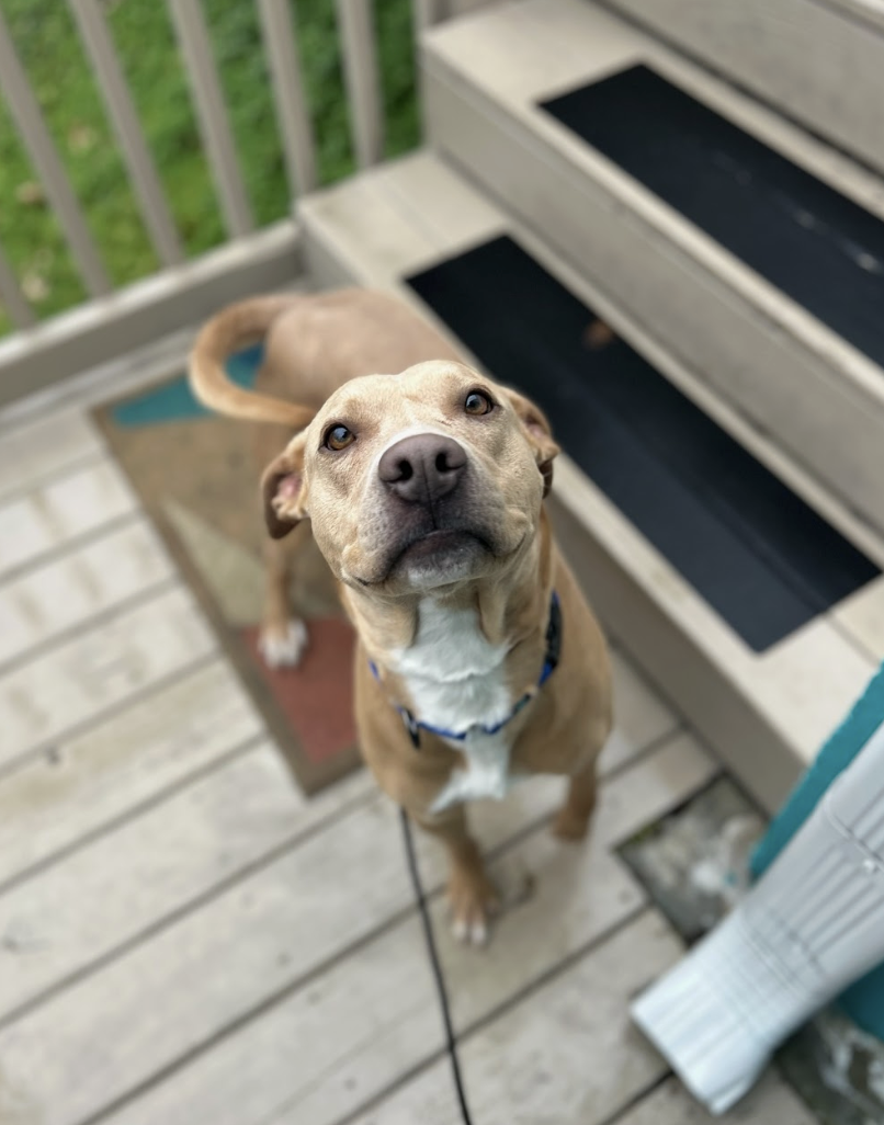 Screenshot 2026-02-19 at 7.30.53 PM.png