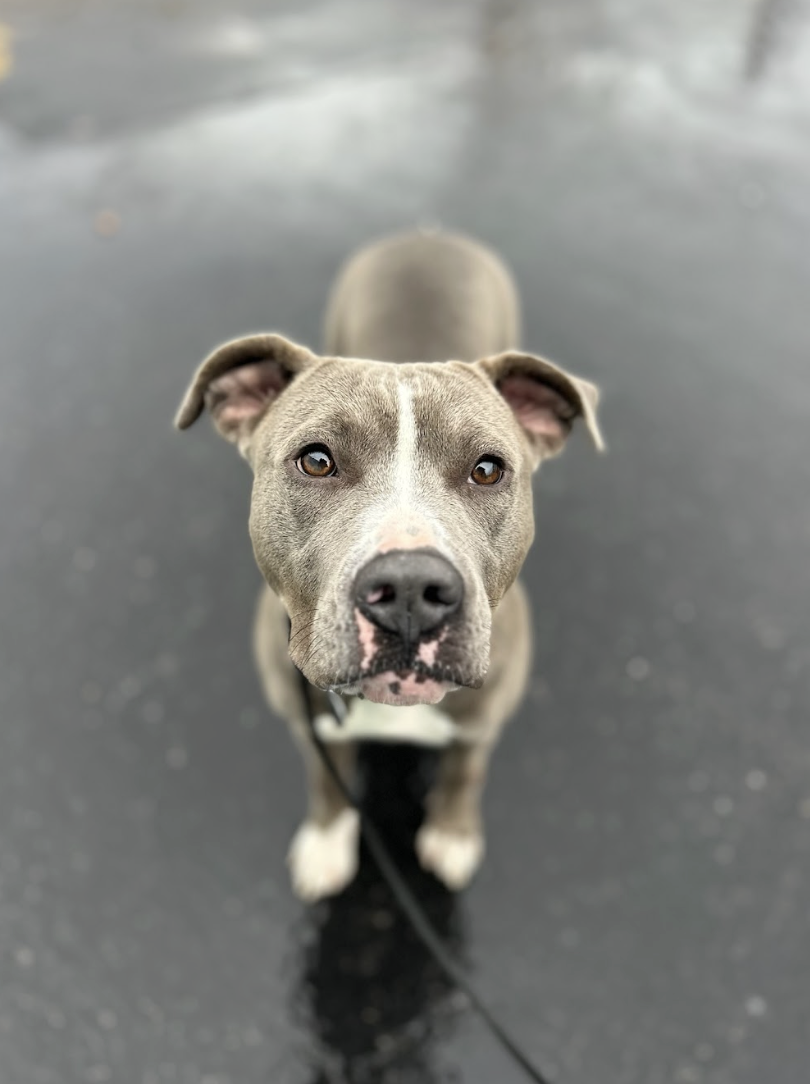 Screenshot 2025-12-18 at 1.52.23 PM.png