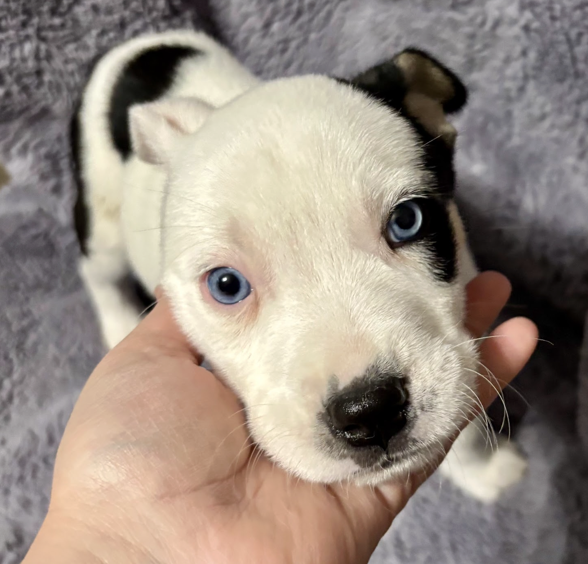 Screenshot 2026-01-15 at 7.49.45 PM.png