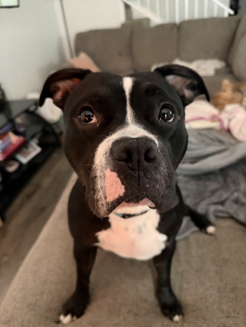 Screenshot 2026-02-26 at 2.21.37 PM.png