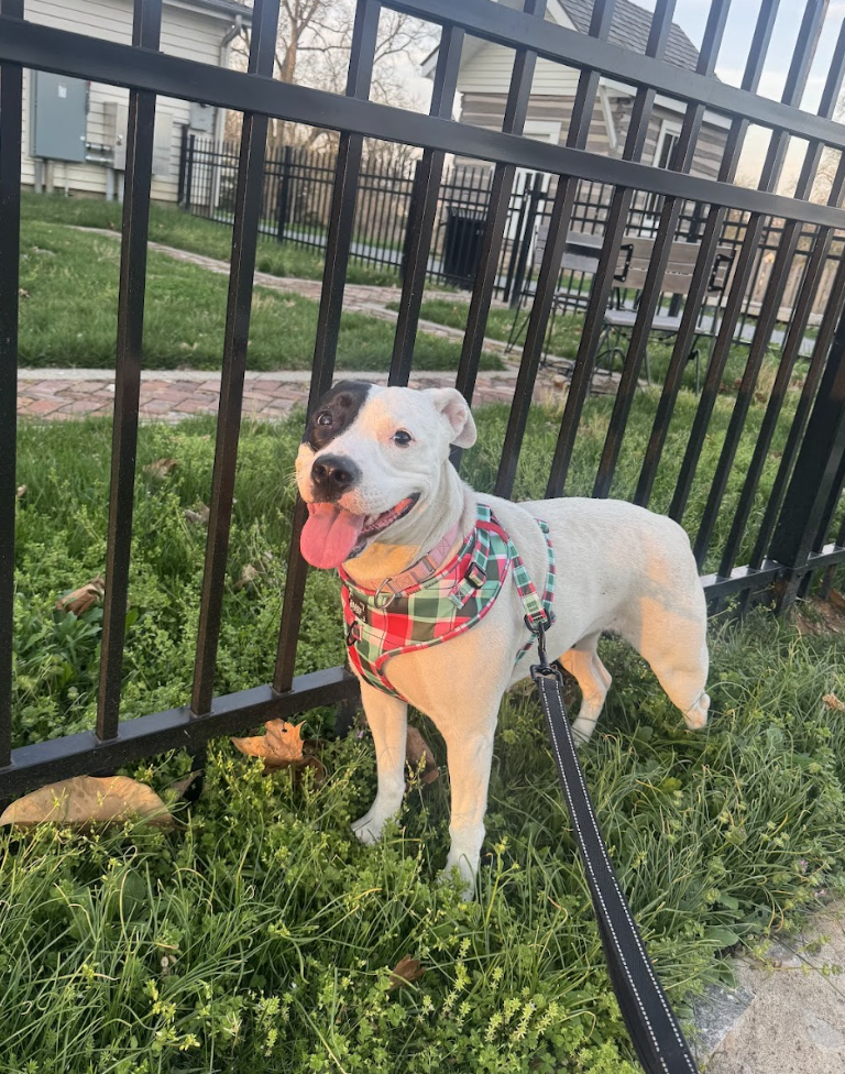 Screenshot 2026-04-03 at 3.30.14 PM.png