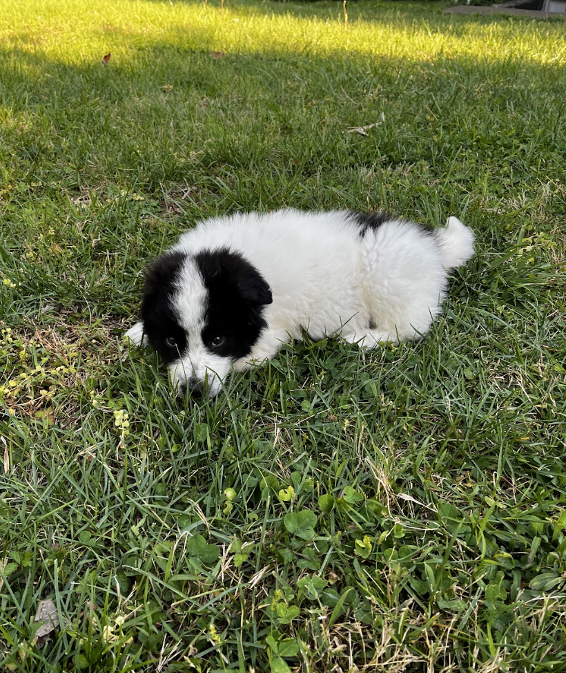 Screenshot 2026-04-13 at 2.46.52 PM.png