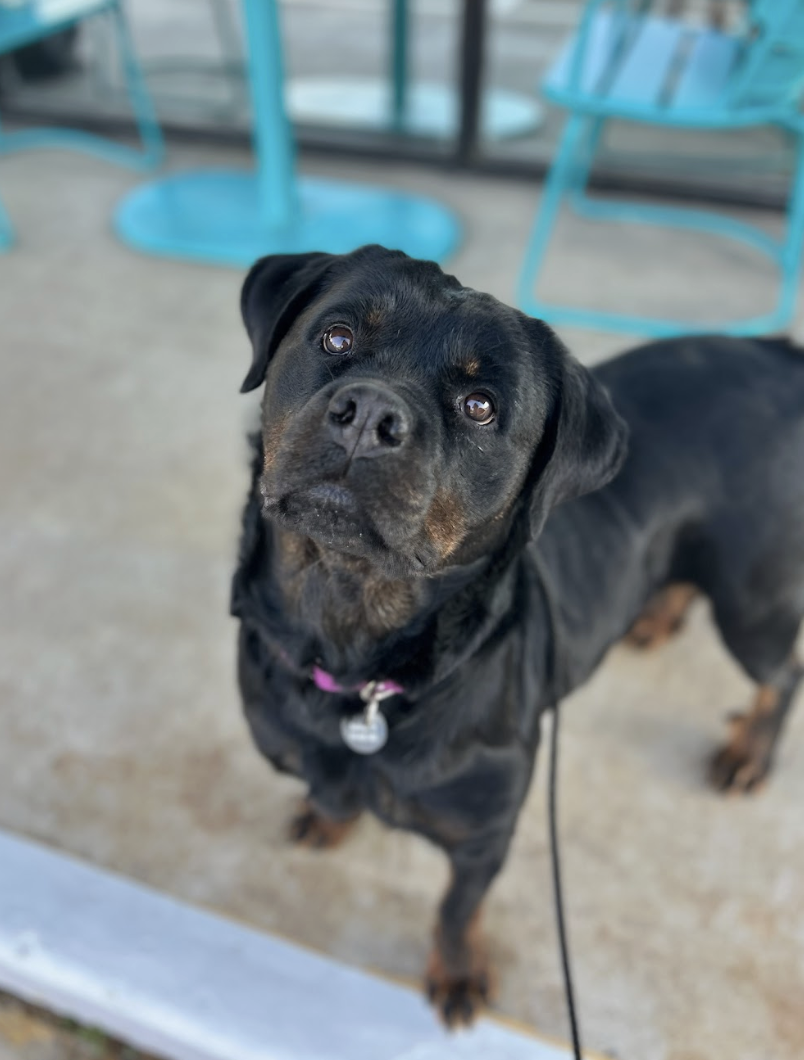 Screenshot 2026-04-23 at 1.54.06 PM.png