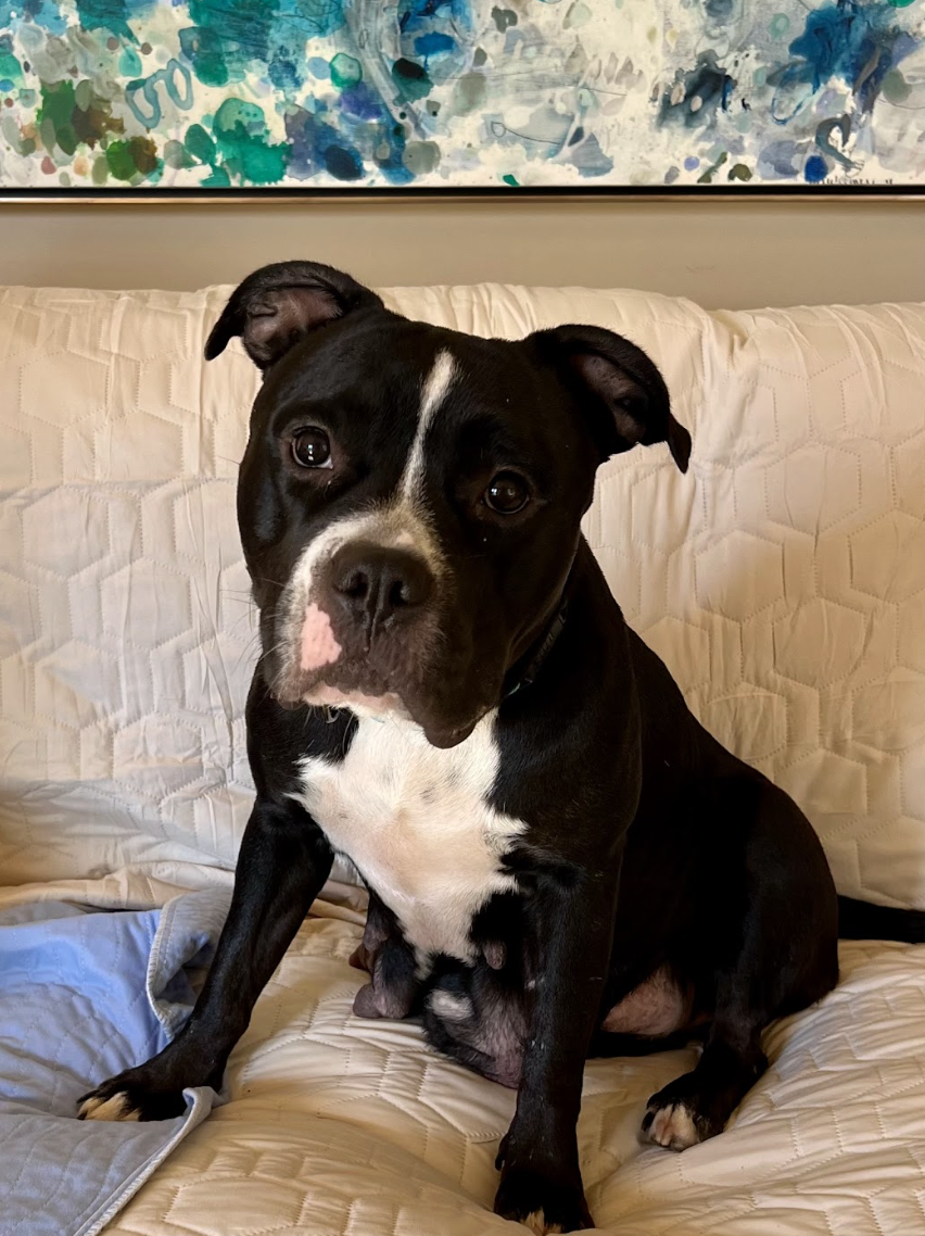 Screenshot 2026-01-09 at 10.26.23 AM.png