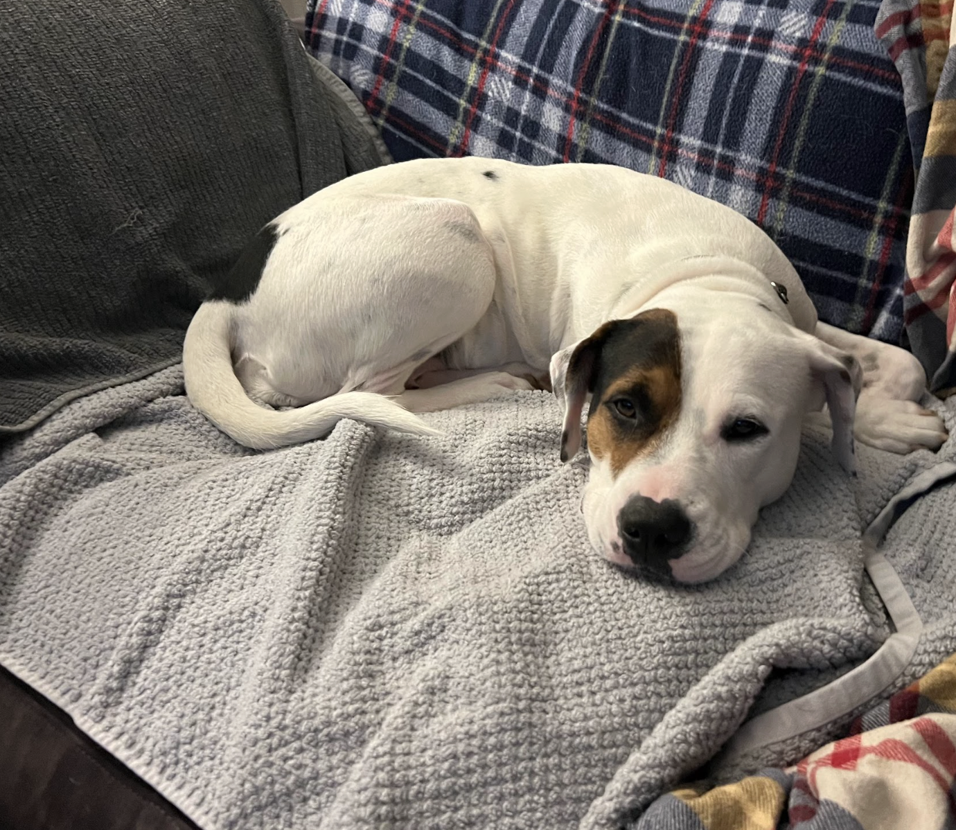 Screenshot 2026-01-14 at 9.19.09 PM.png