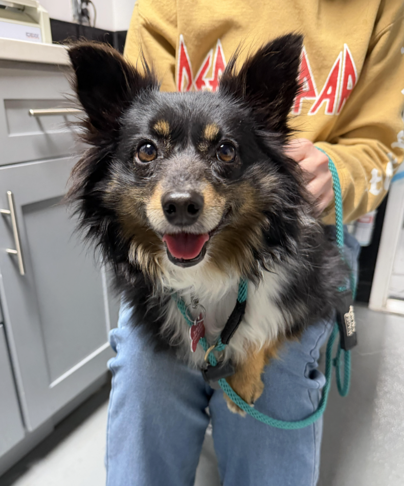 Screenshot 2026-01-24 at 4.46.42 PM.png