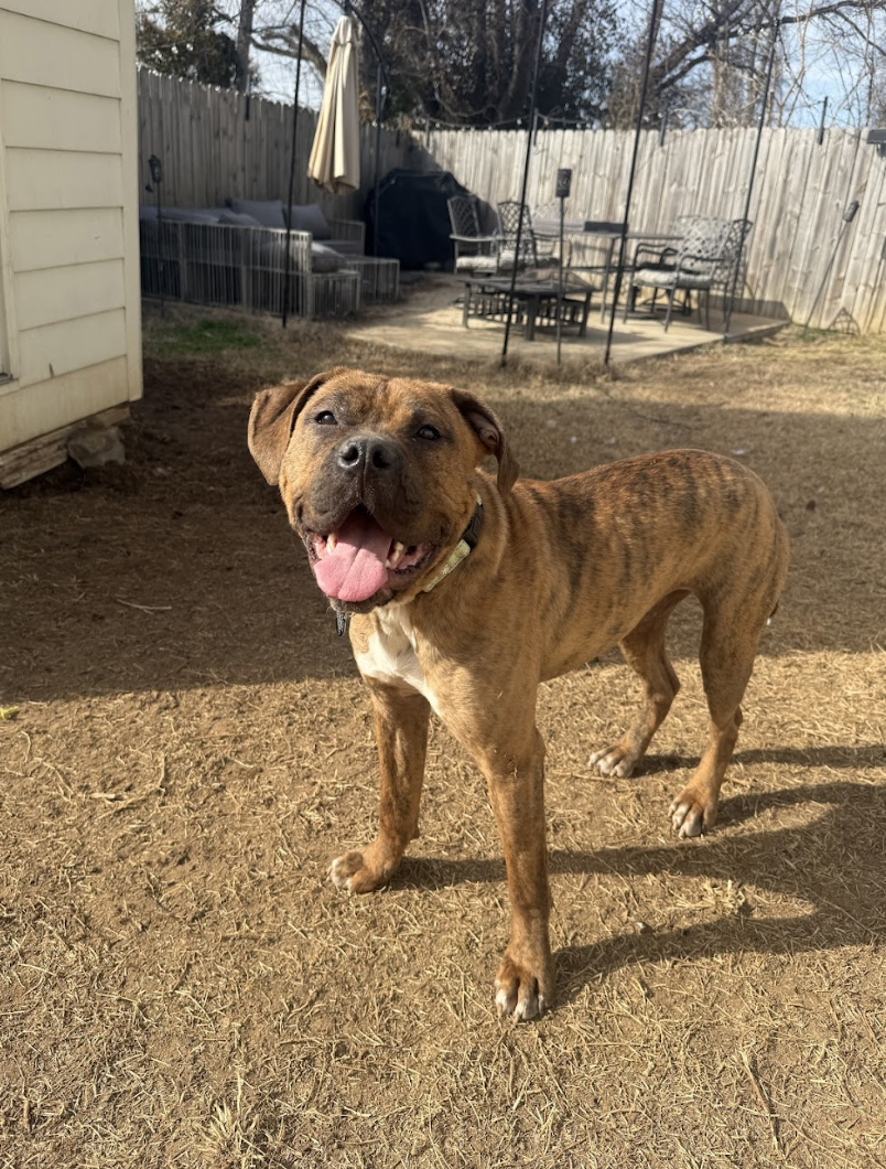 Screenshot 2026-02-26 at 2.19.15 PM.png