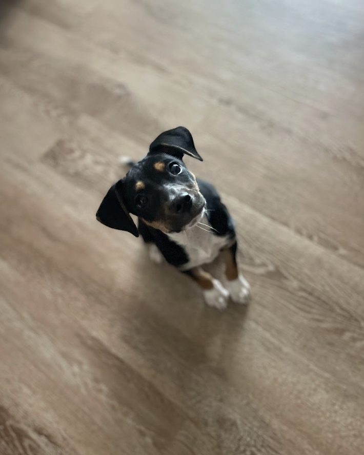 Screenshot 2026-02-26 at 1.20.40 PM.png