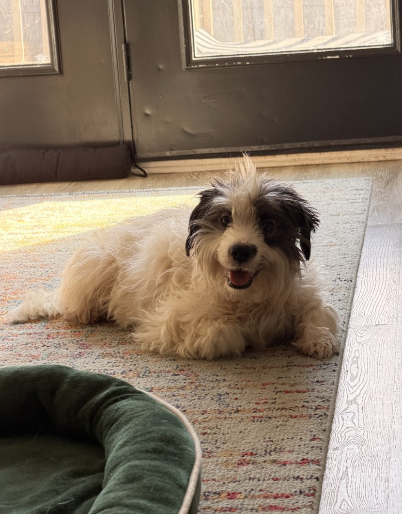 Screenshot 2026-02-28 at 4.17.17 PM.png