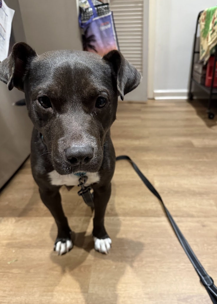 Screenshot 2026-01-14 at 1.55.44 PM.png