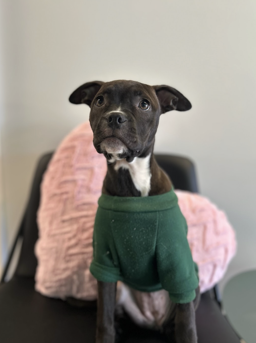 Screenshot 2026-01-13 at 3.59.18 PM.png