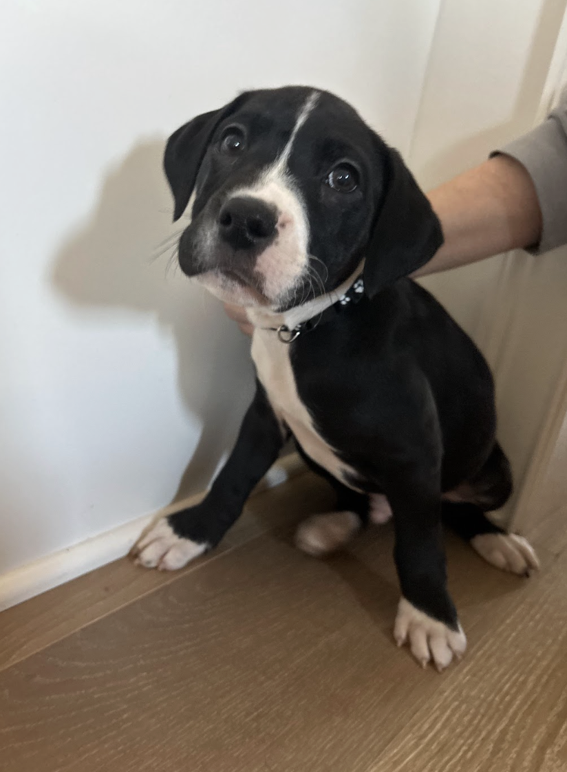 Screenshot 2026-01-07 at 1.20.34 PM.png