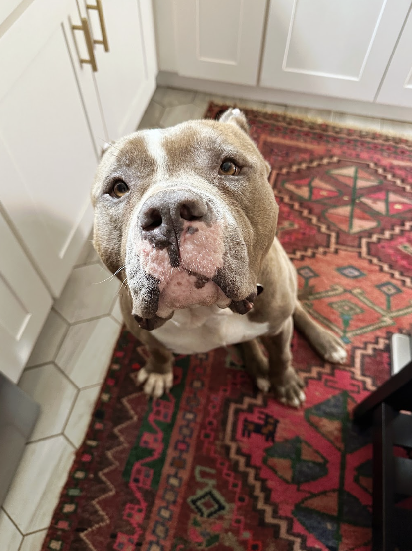 Screenshot 2026-04-15 at 12.43.07 PM.png