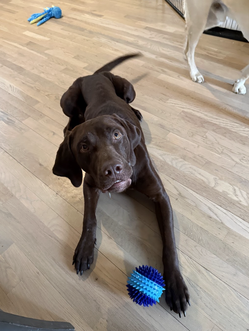 Screenshot 2026-01-27 at 1.16.55 PM.png