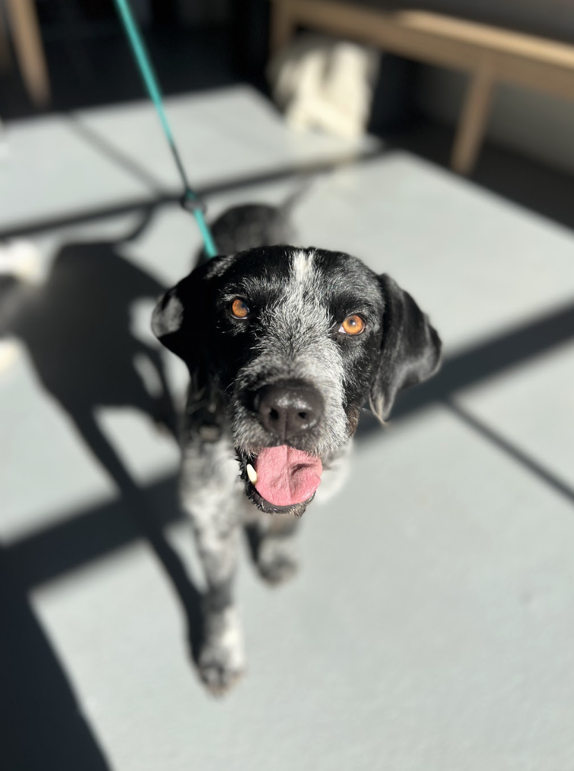 Screenshot 2026-01-15 at 3.34.36 PM.png