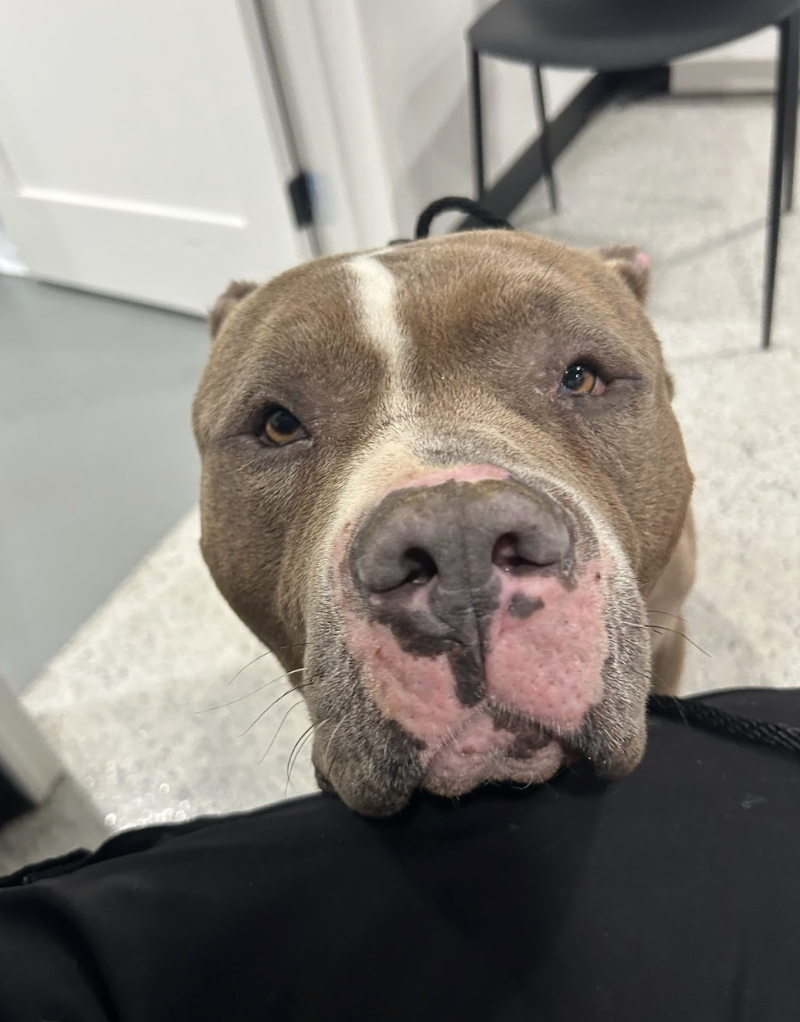 Screenshot 2026-03-11 at 6.47.25 PM.png