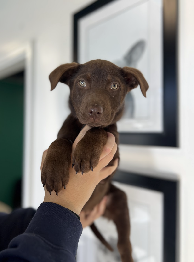 Screenshot 2026-01-15 at 3.27.26 PM.png