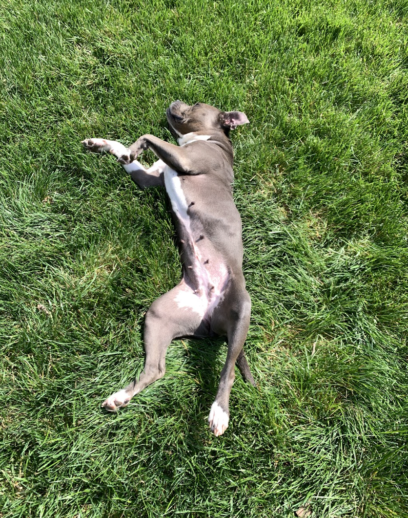 Screenshot 2026-04-03 at 3.00.51 PM.png