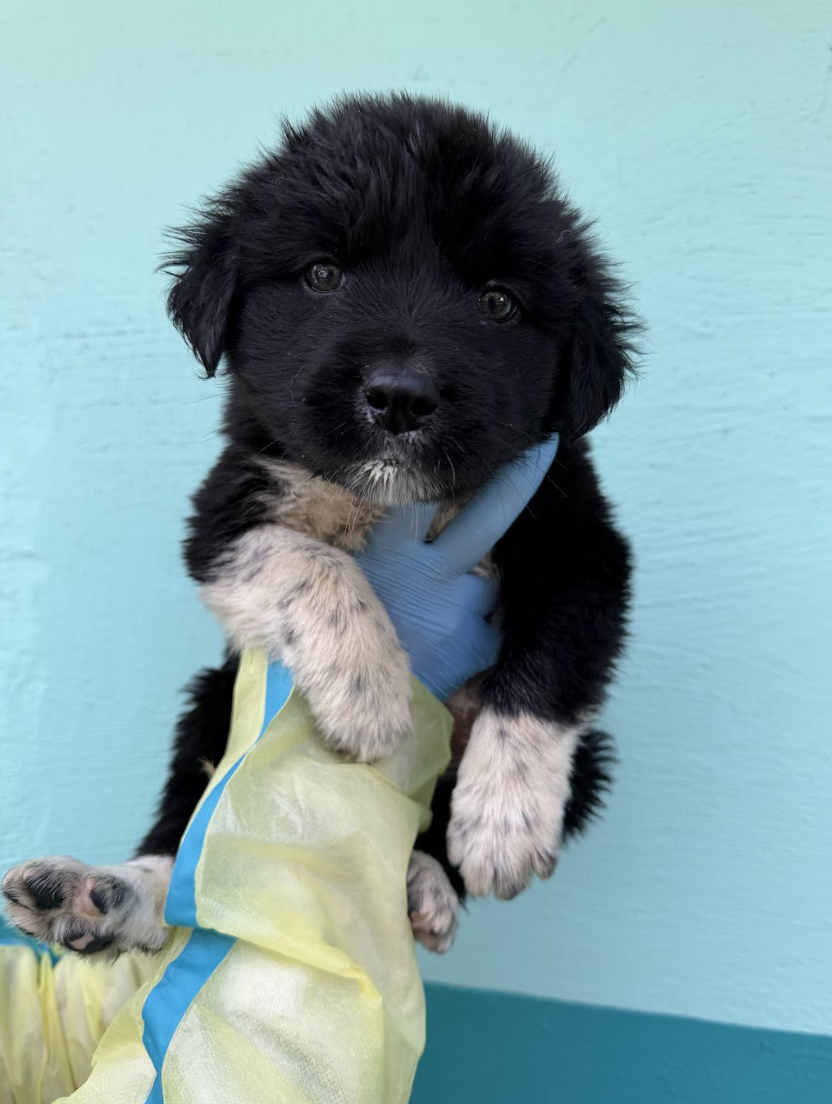 Screenshot 2026-04-13 at 2.42.13 PM.png