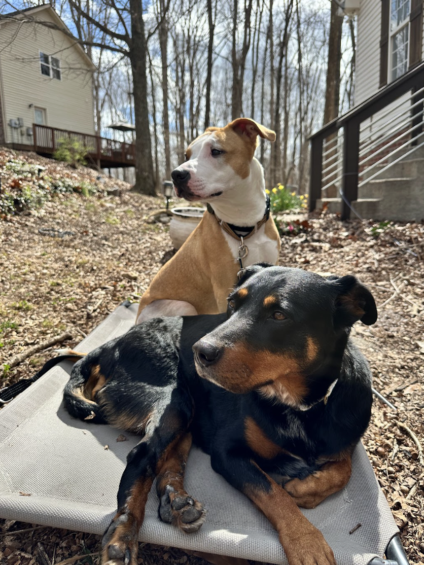 Screenshot 2026-03-06 at 2.36.55 PM.png