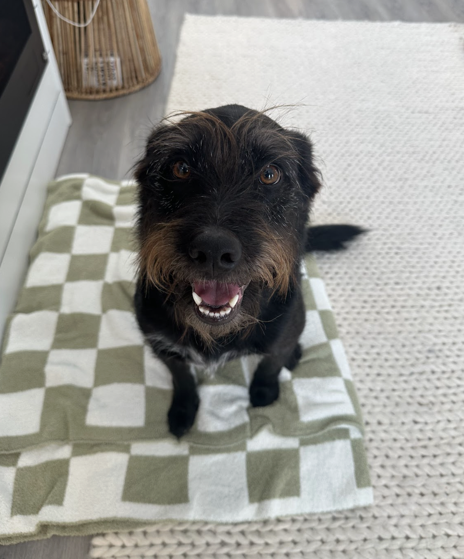 Screenshot 2026-02-07 at 8.23.11 AM.png