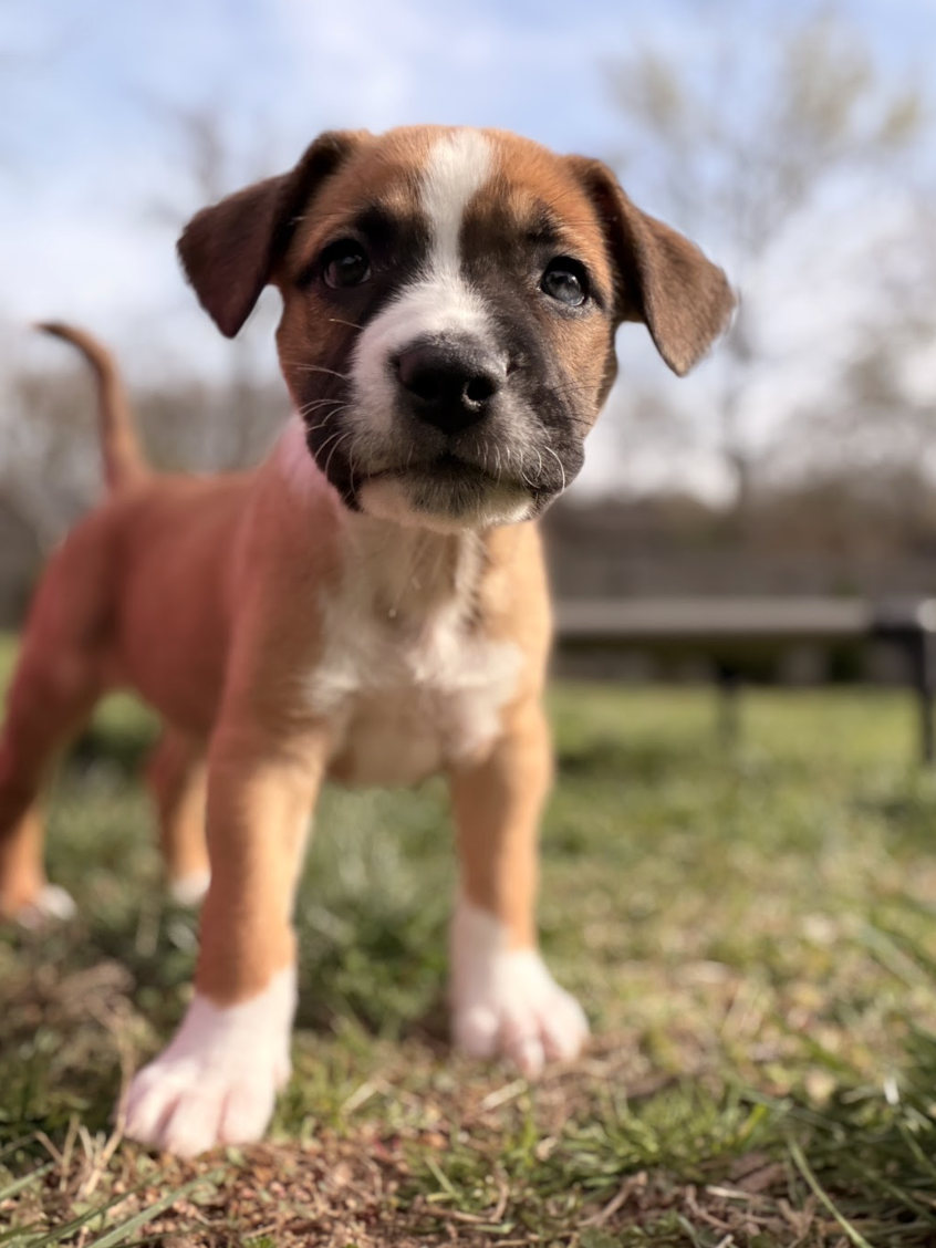 Screenshot 2026-03-27 at 7.40.55 PM.png