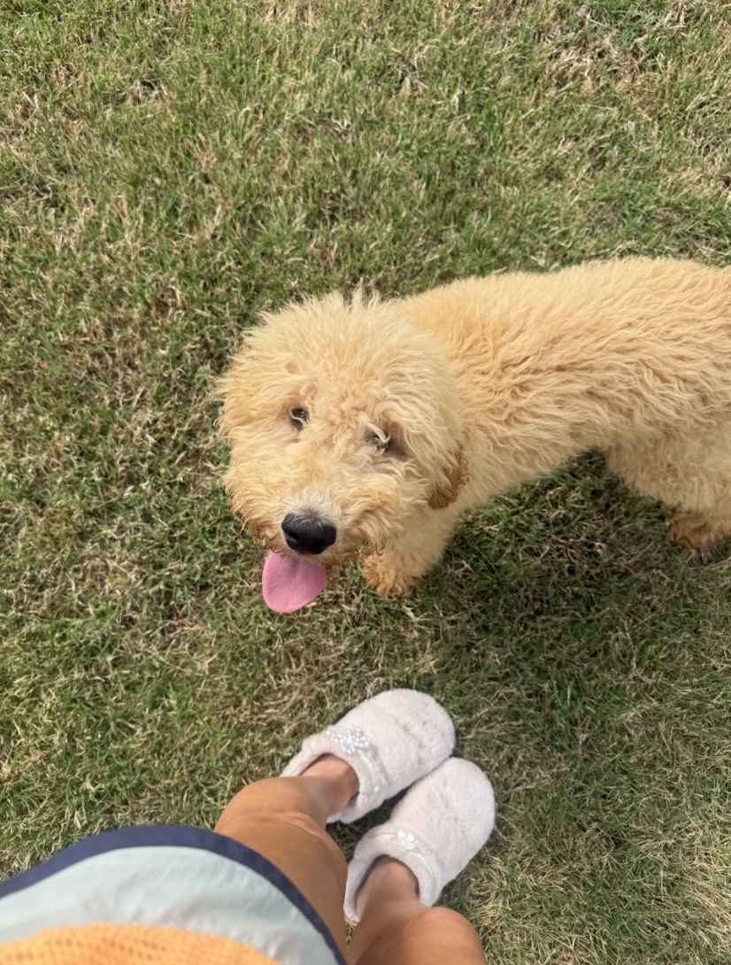 Screenshot 2026-04-27 at 1.12.21 PM.png