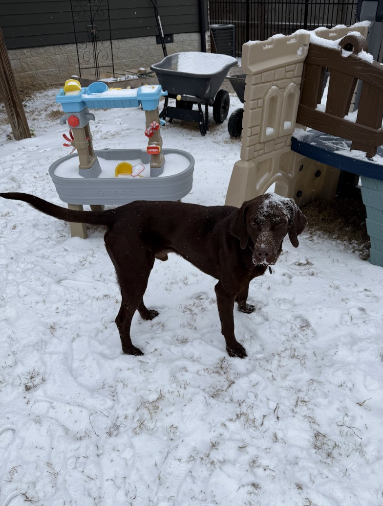 Screenshot 2026-01-27 at 1.17.07 PM.png