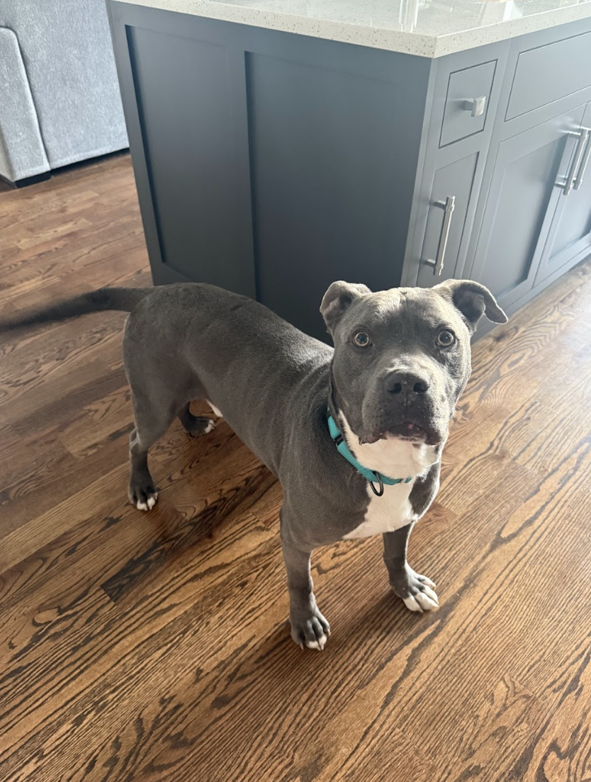 Screenshot 2026-04-22 at 5.01.39 PM.png