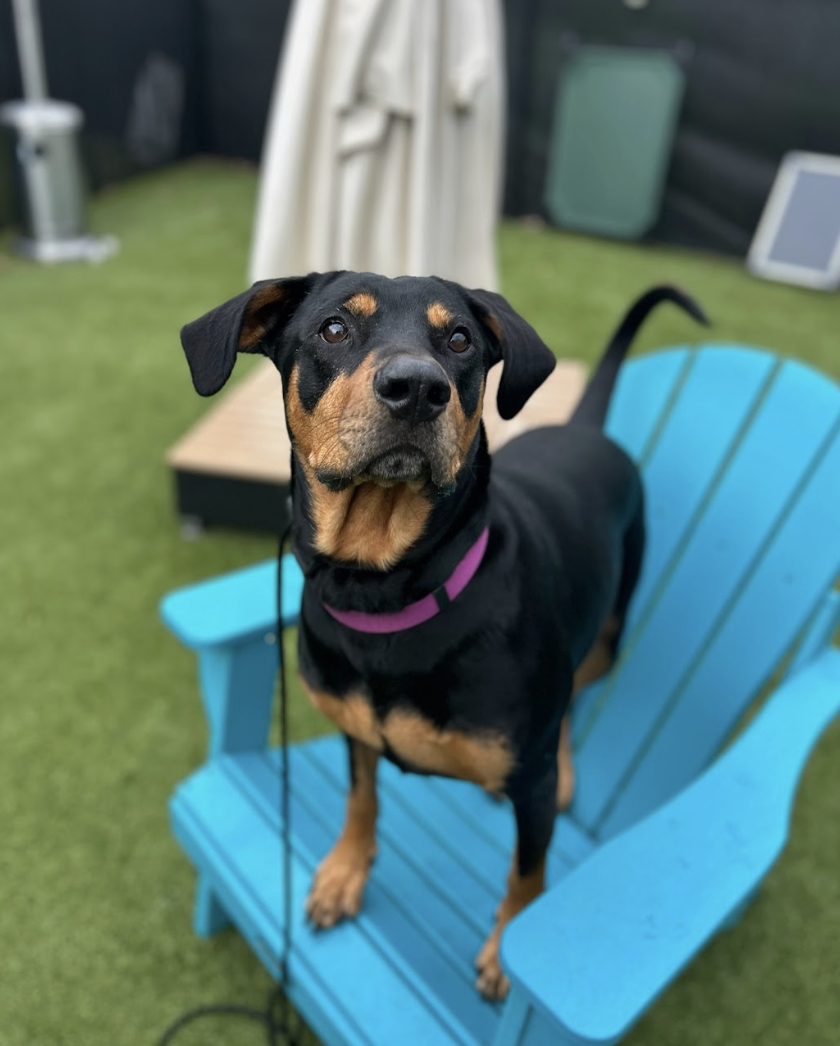 Screenshot 2026-03-11 at 6.37.35 PM.png