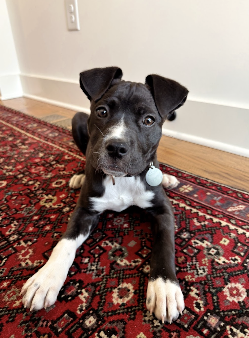 Screenshot 2026-04-03 at 1.22.27 PM.png