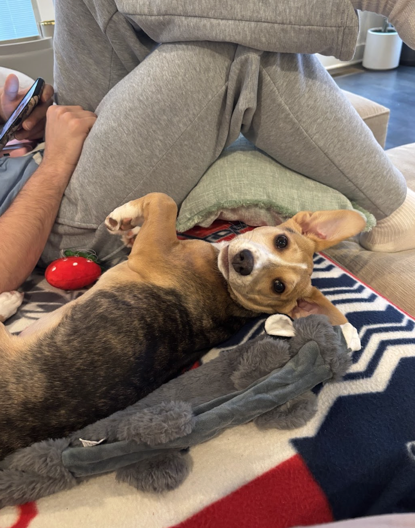 Screenshot 2026-02-20 at 4.22.04 PM.png