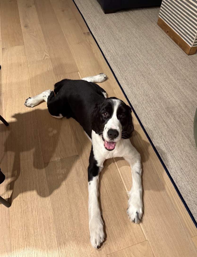 Screenshot 2026-04-06 at 1.16.07 PM.png