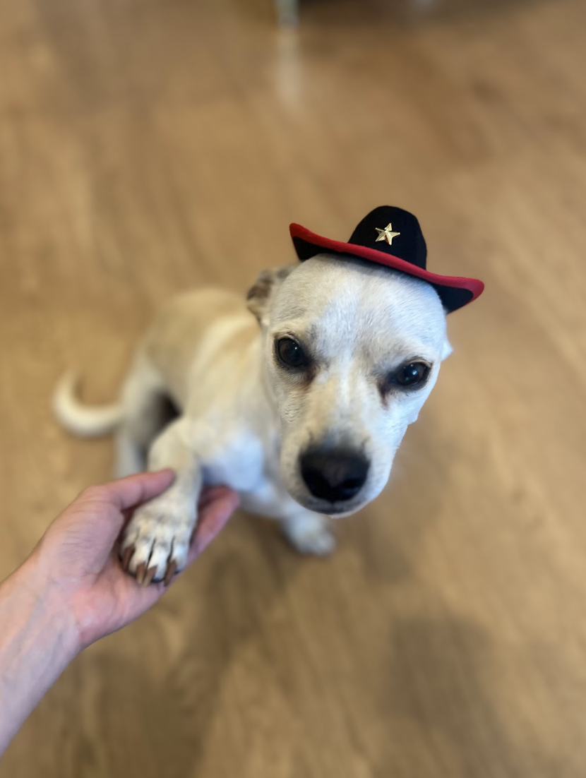 Screenshot 2026-04-22 at 5.12.08 PM.png