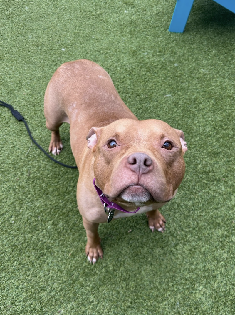 Screenshot 2026-03-11 at 6.41.43 PM.png