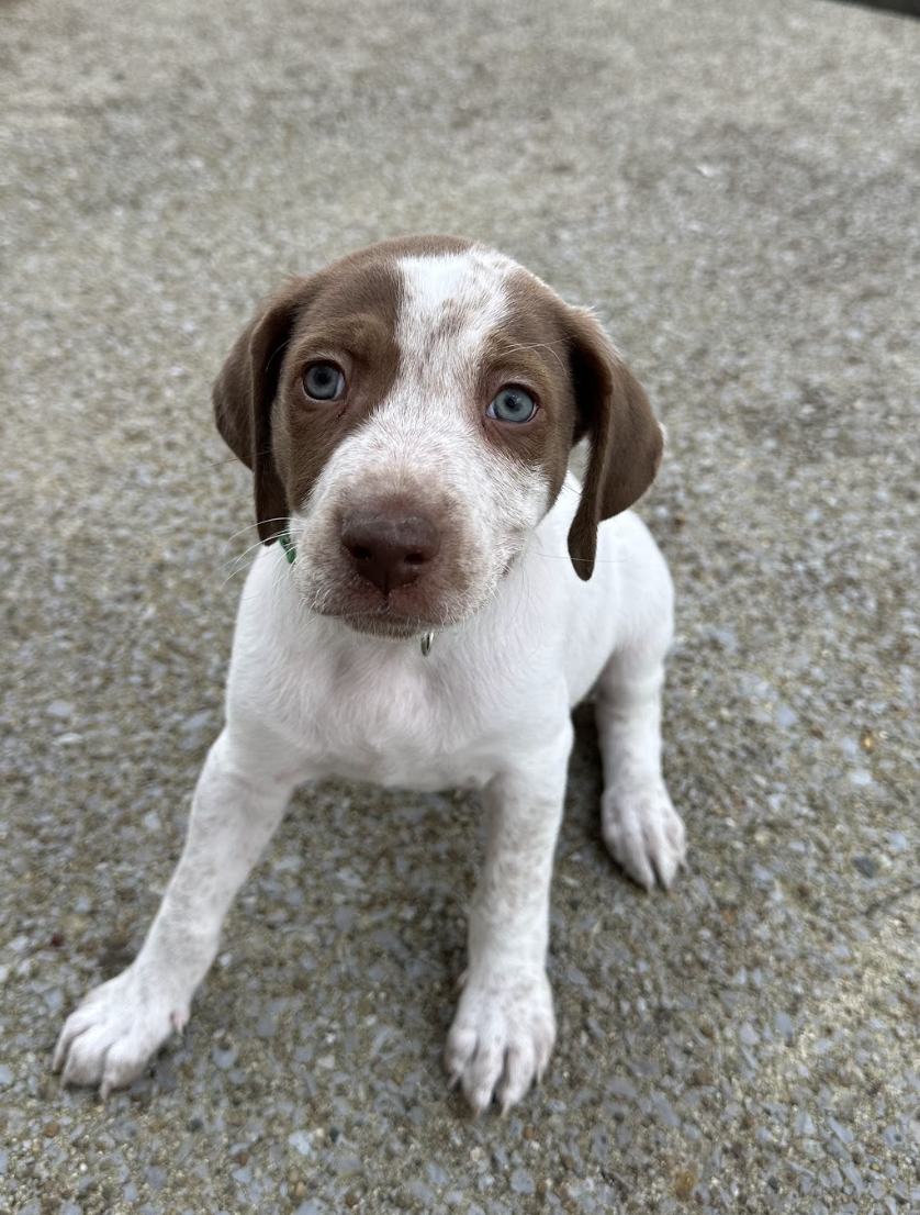 Screenshot 2026-03-10 at 8.57.41 PM.png