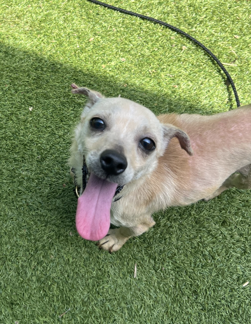 Screenshot 2026-04-21 at 2.00.48 PM.png