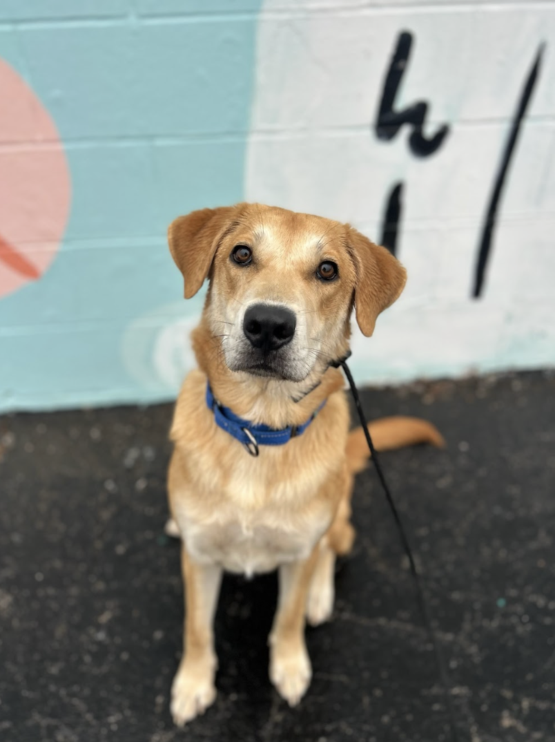 Screenshot 2026-02-19 at 3.51.14 PM.png