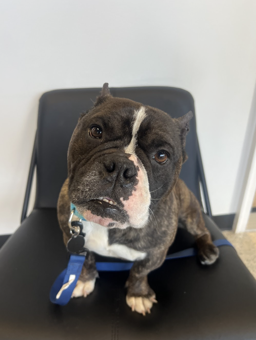 Screenshot 2026-04-22 at 2.47.14 PM.png