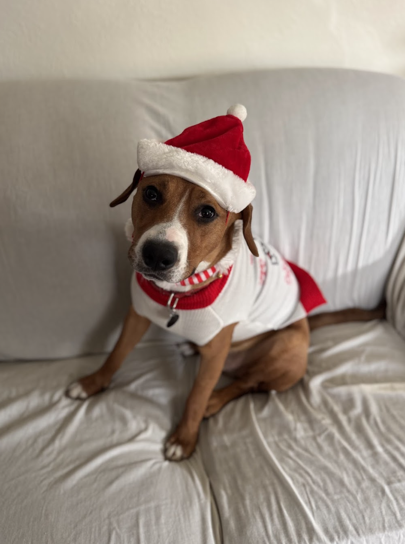 Screenshot 2026-03-20 at 4.10.39 PM.png