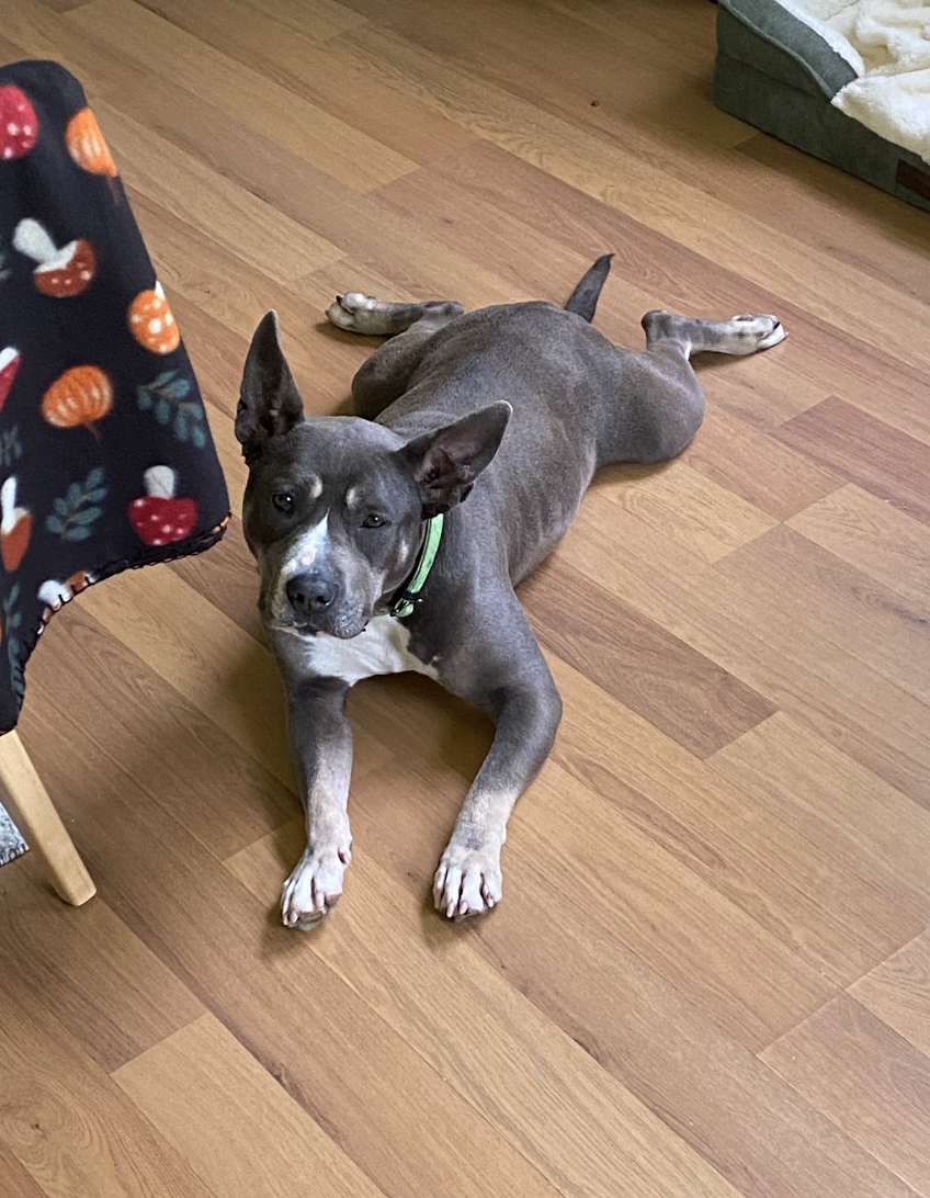 Screenshot 2026-04-14 at 3.09.53 PM.png