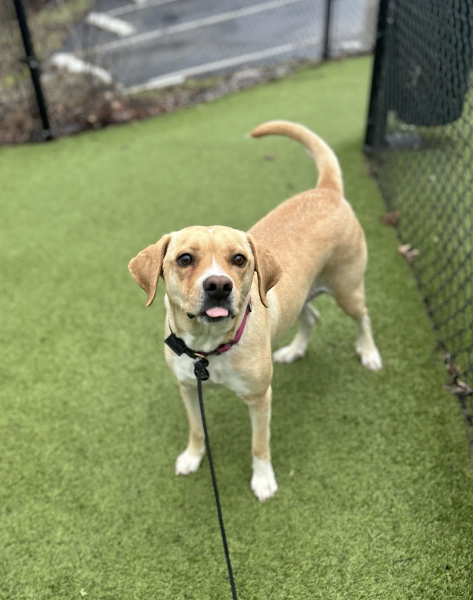 Screenshot 2026-02-05 at 2.22.36 PM.png