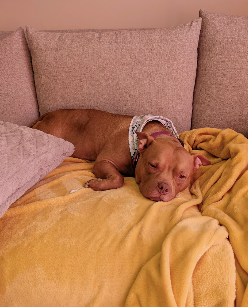 Screenshot 2026-04-22 at 5.56.23 PM.png