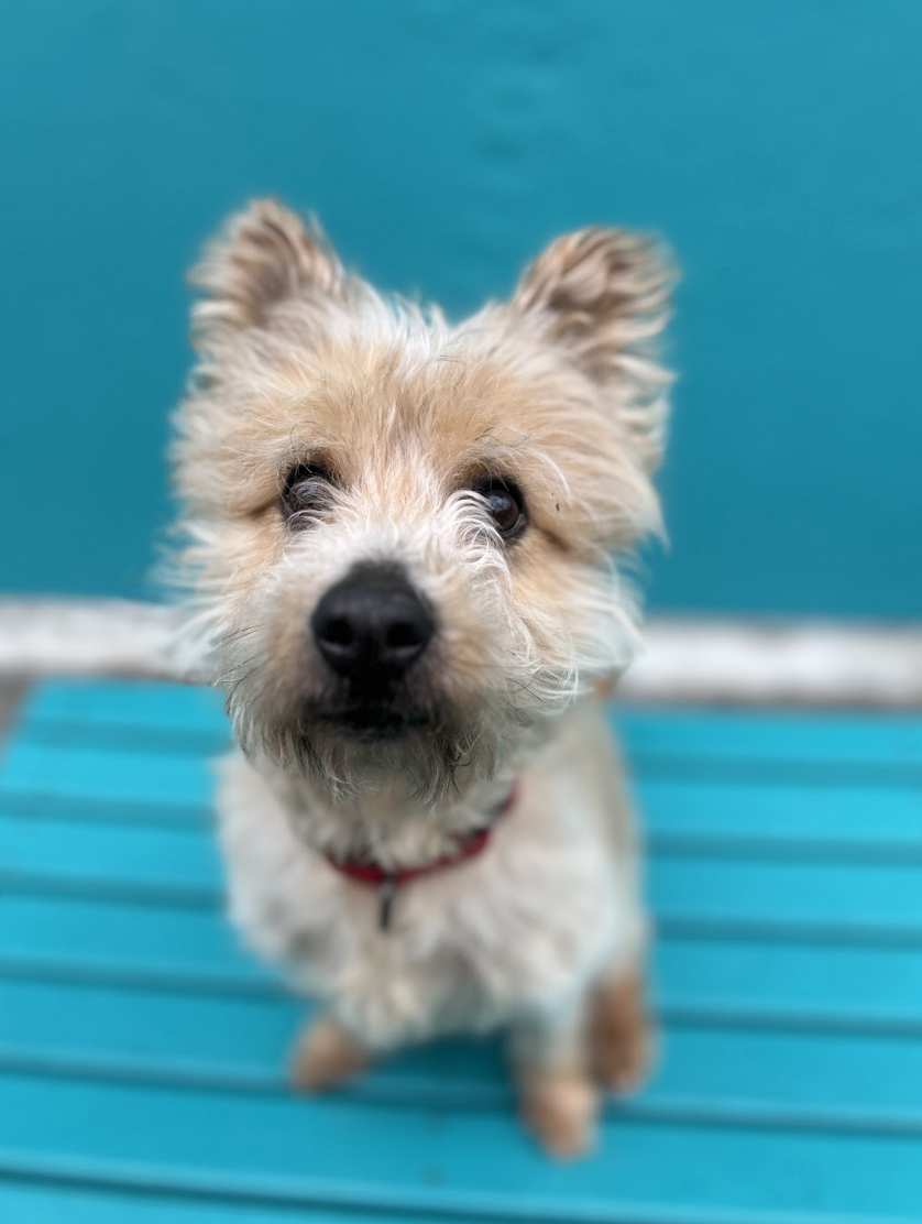 Screenshot 2026-03-11 at 8.24.36 PM.png