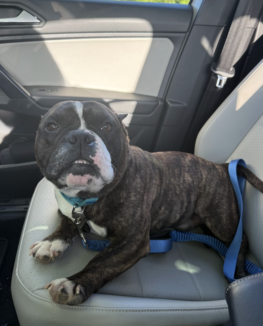 Screenshot 2026-04-22 at 2.46.58 PM.png