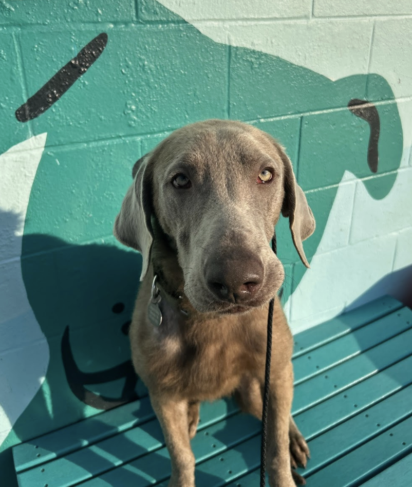 Screenshot 2026-04-23 at 1.50.06 PM.png