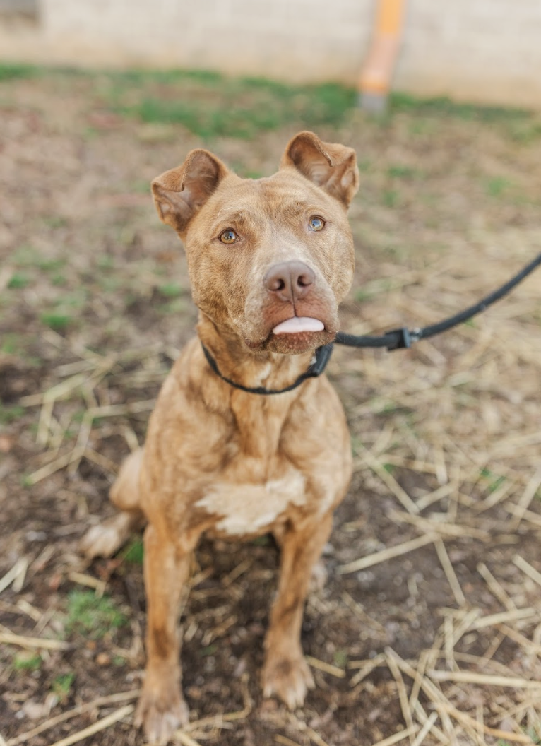 Screenshot 2026-02-25 at 1.08.28 PM.png