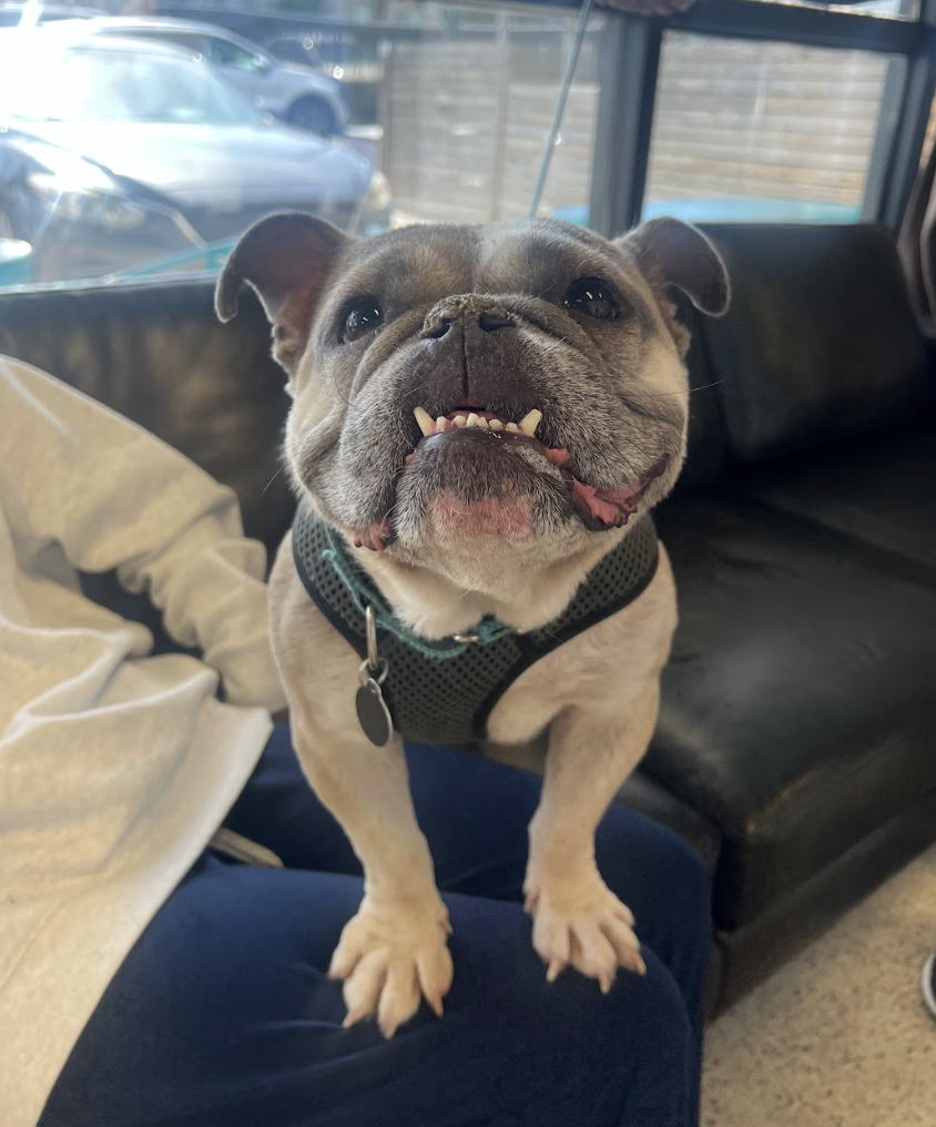 Screenshot 2026-04-22 at 2.36.11 PM.png